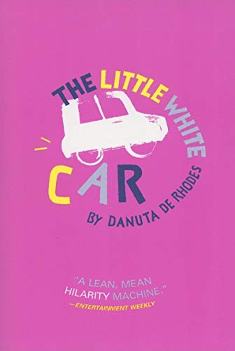 The Little White Car Cover