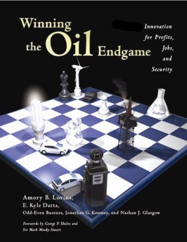 Winning the oil endgame Cover