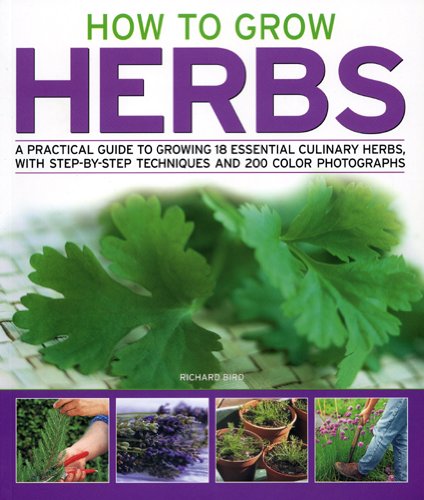 How to grow herbs Cover