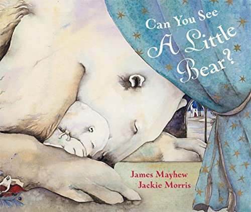Can You See a Little Bear? Cover