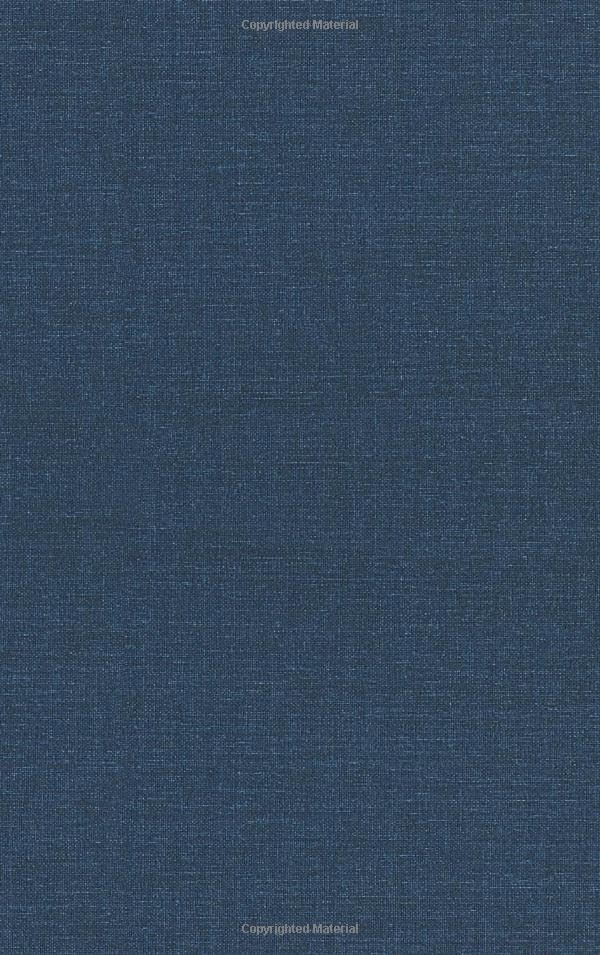 Attempted cover for Book ID: 1847345085