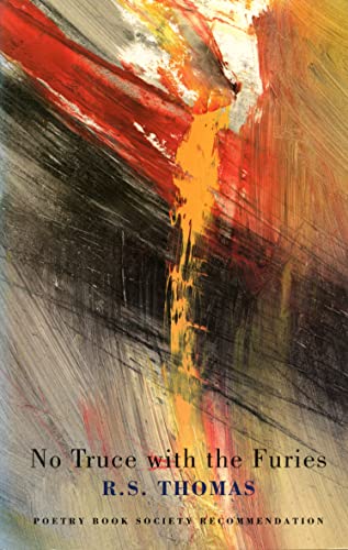 No truce with the furies Cover