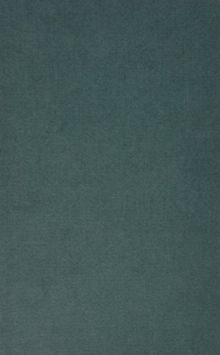 Attempted cover for Book ID: 185278962X