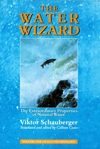 The Water Wizard Cover