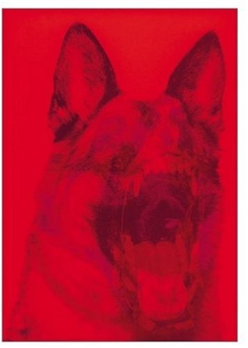 Sagmeister Cover