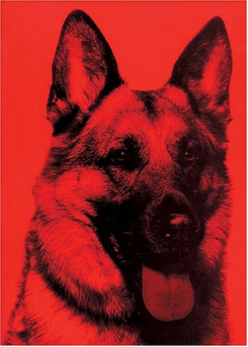 Sagmeister Cover