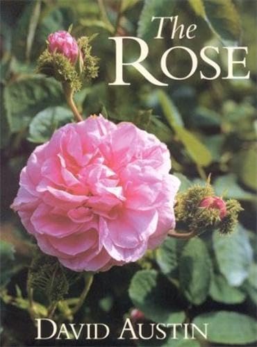 The rose Cover