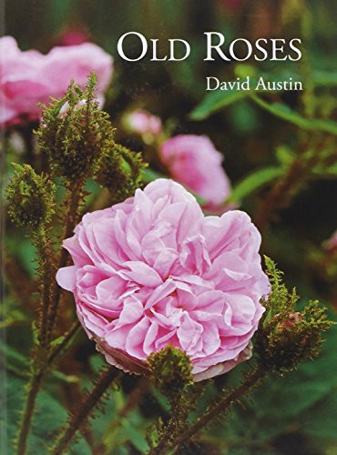 Old roses Cover