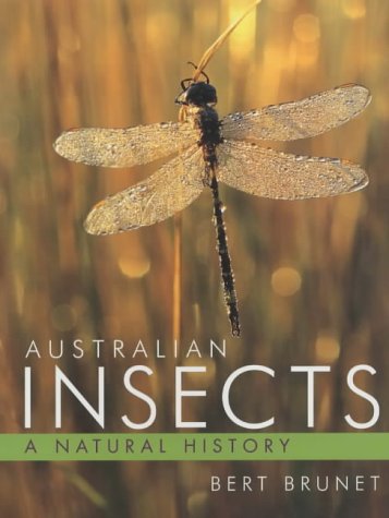 Australian insects Cover