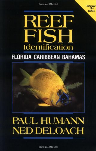 Reef Fish Identification Cover