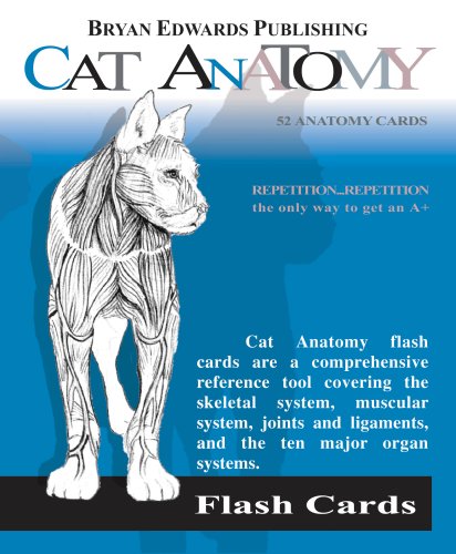 Cat Anatomy Cover