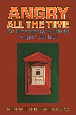 Angry all the time Cover