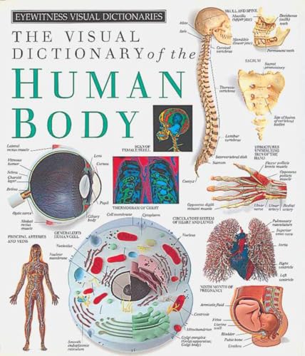 The Visual dictionary of the human body. Cover