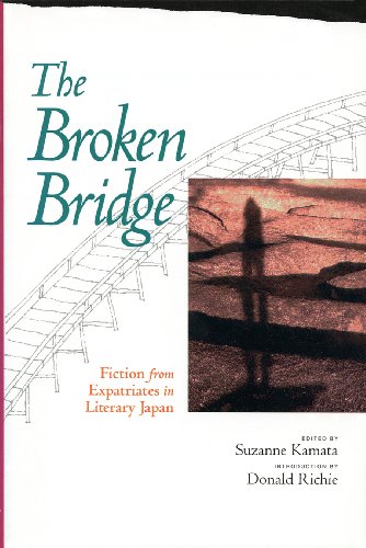 The broken bridge Cover
