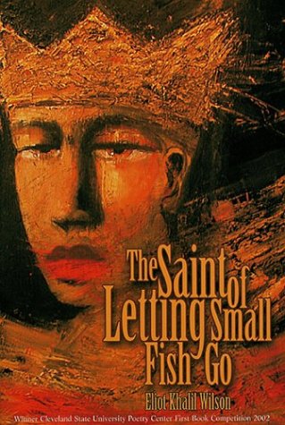 The saint of letting small fish go Cover