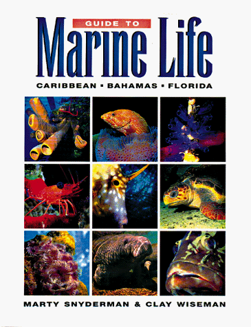 Guide to marine life Cover