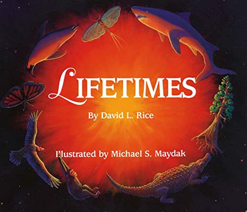 Lifetimes Cover