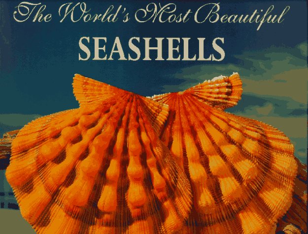The world's most beautiful seashells Cover