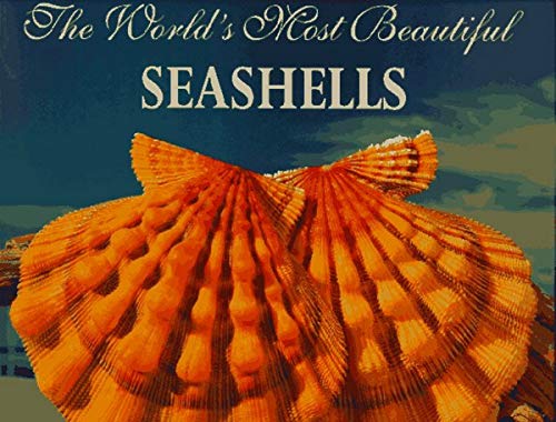The World's Most Beautiful Seashells Cover