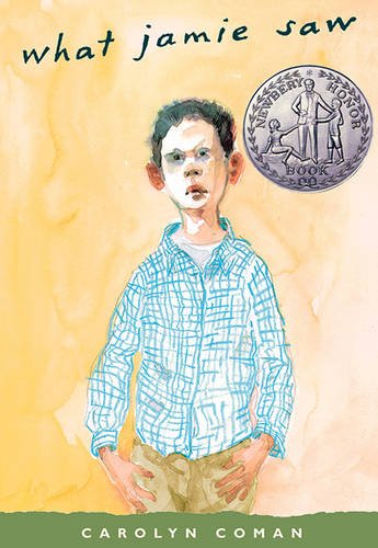 What Jamie saw Cover
