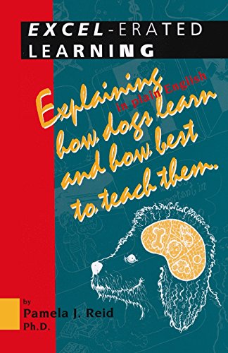 Excel-Erated Learning Cover