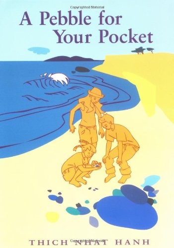 A pebble for your pocket Cover