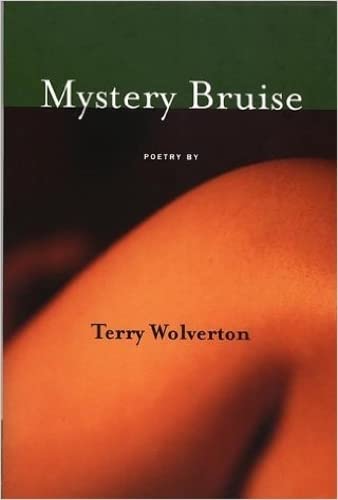 Mystery bruise Cover
