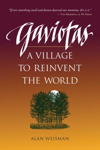 Gaviotas Cover