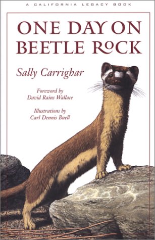 One Day on Beetle Rock (California Legacy Book) Cover
