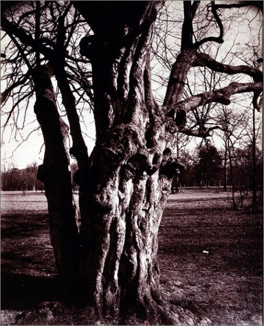 Eugène Atget's trees Cover