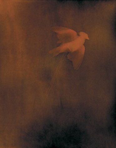 Attempted cover for Book ID: 1891024914