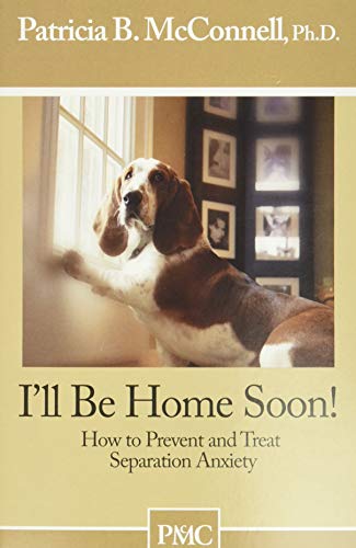 I'll be home soon! Cover