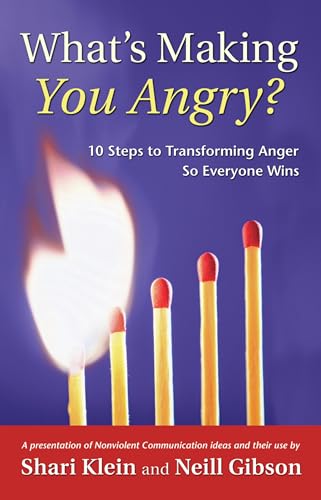 What's Making You Angry? Cover