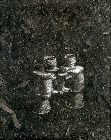 Vik Muniz Cover