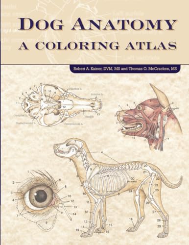 Dog anatomy Cover