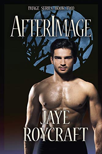 Afterimage Cover
