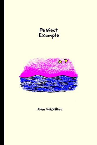 Perfect Example Cover