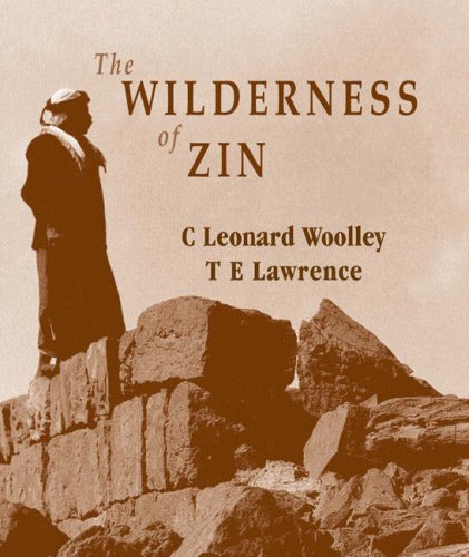 Wilderness of Zin Cover