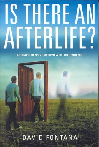 Is There An Afterlife? Cover
