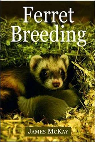 Ferret Breeding Cover