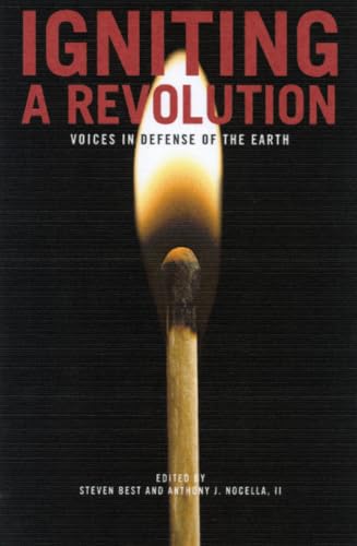 Igniting a Revolution Cover