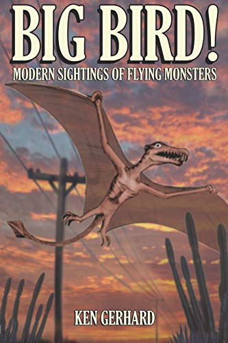 BIG BIRD! - MODERN SIGHTINGS OF FLYING MONSTERS Cover