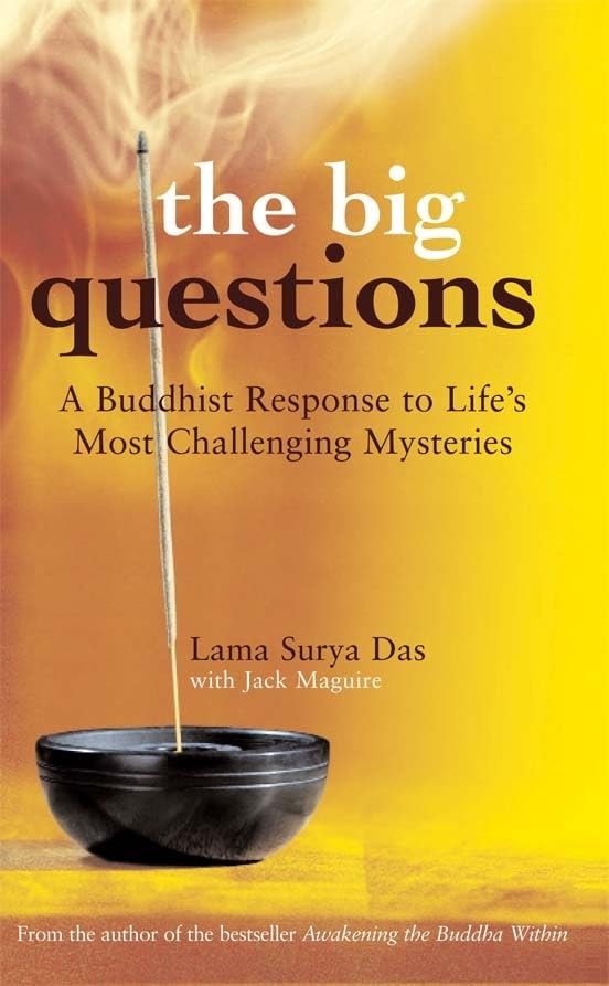 The big questions Cover