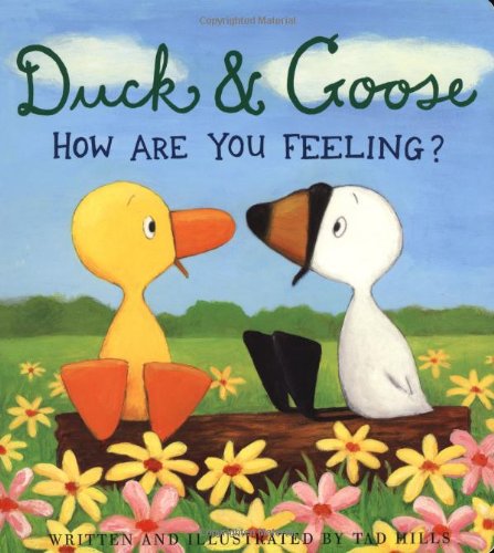 Duck and Goose Cover