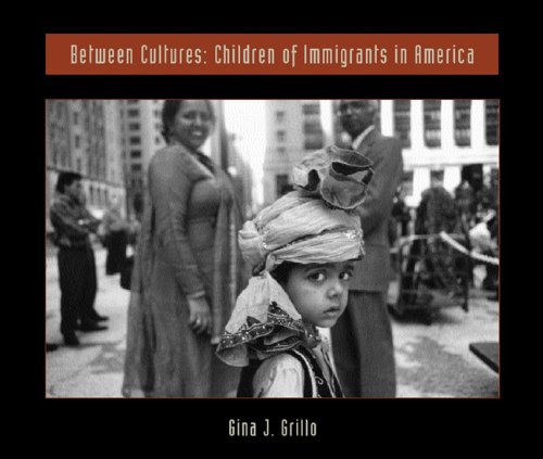 Between Cultures Cover