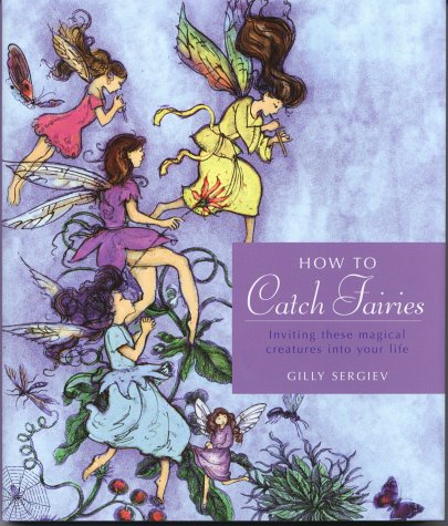 How to Catch Fairies Cover