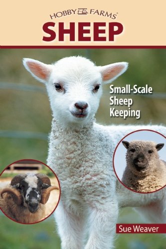 Sheep Cover