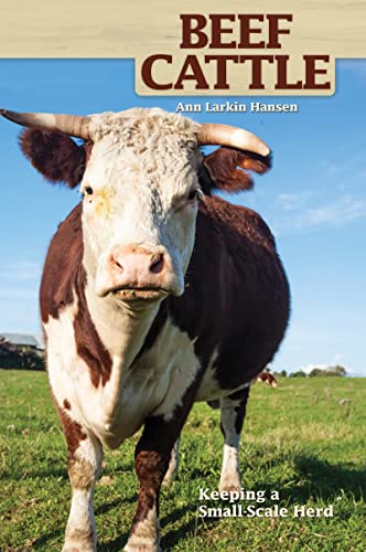 Beef Cattle Cover