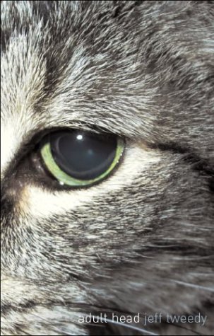 Attempted cover for Book ID: 193202316X