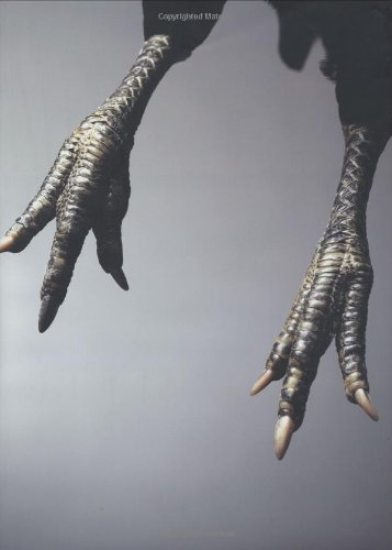 Graphis Photography Annual 2007 Cover